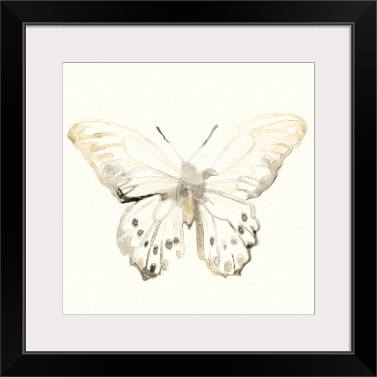 Thin and diluted brushstrokes create the illusion of an x-ray of a butterfly in this contemporary painting.