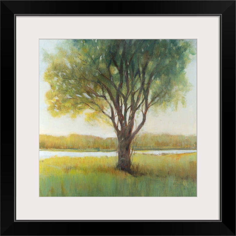 Shade Tree II