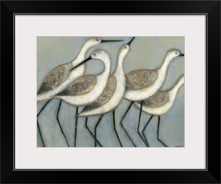 A group of wader birds stand next to each other against a cool toned background.