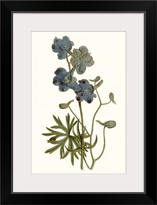 Soft Blue Botanicals V