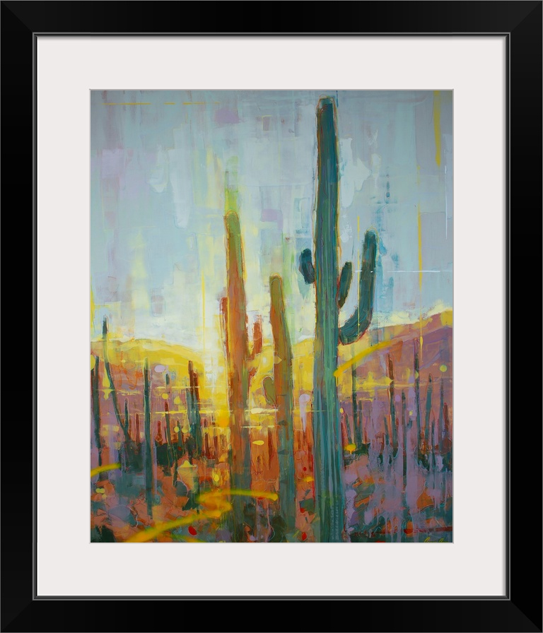 Sonoran Golden Glow