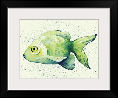 Speckled Freshwater Fish I