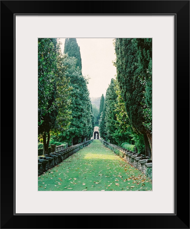 Photograph taken between an avenue of tall trees with a statue at the far end, Lake Como, Italy.