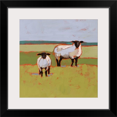 Suffolk Sheep II