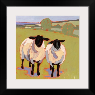 Suffolk Sheep IV