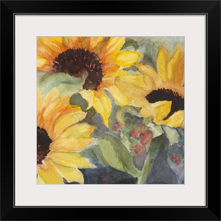 Square watercolor painting of large sunflower blooms.