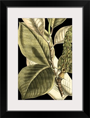 Tranquil Tropical Leaves II