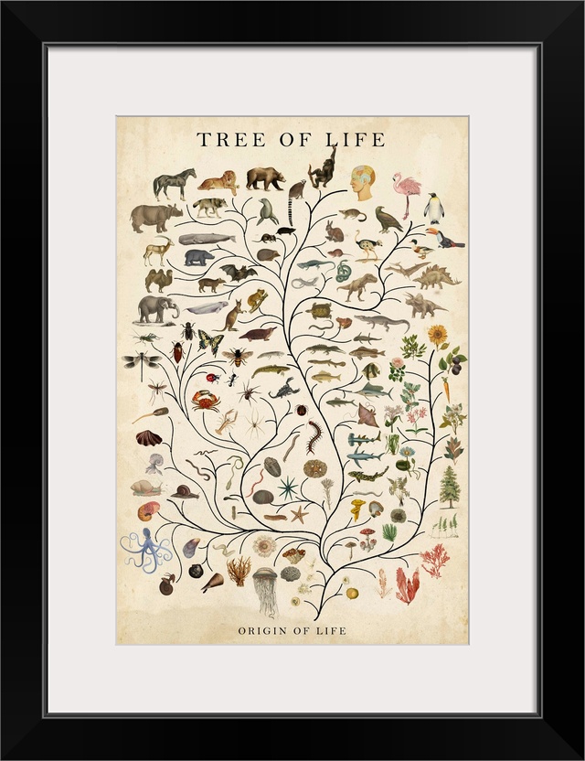 Tree Of Life