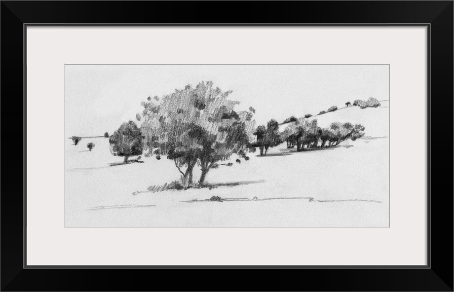 Treeline Sketch I