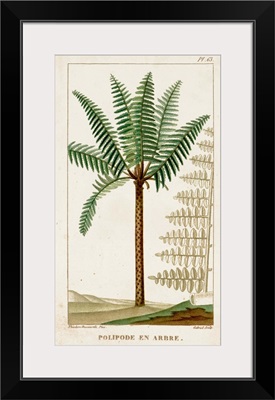 Turpin Exotic Palms III