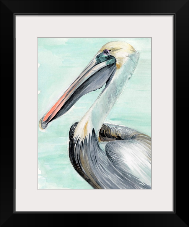 Turquoise Pelican II