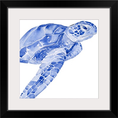 Ultramarine Sea Turtle II