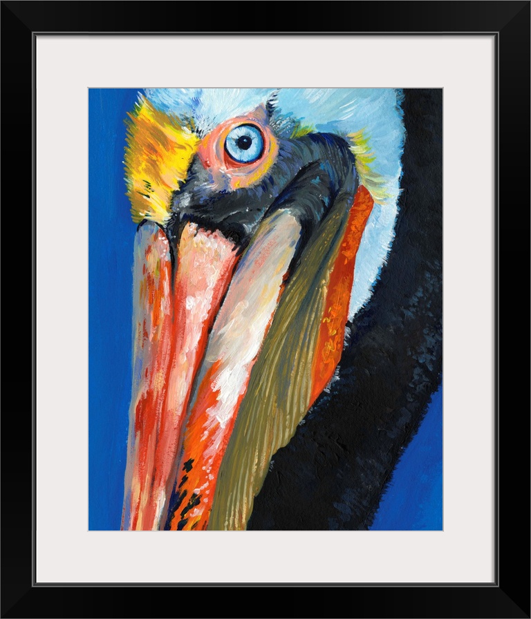 Vibrant Pelican I