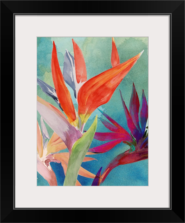 Vivid Birds of Paradise I