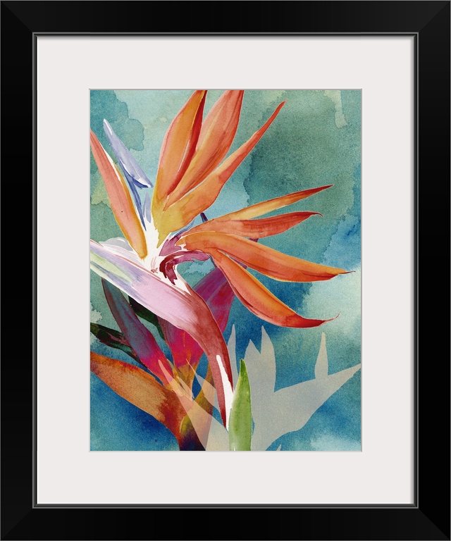 Vivid Birds of Paradise II