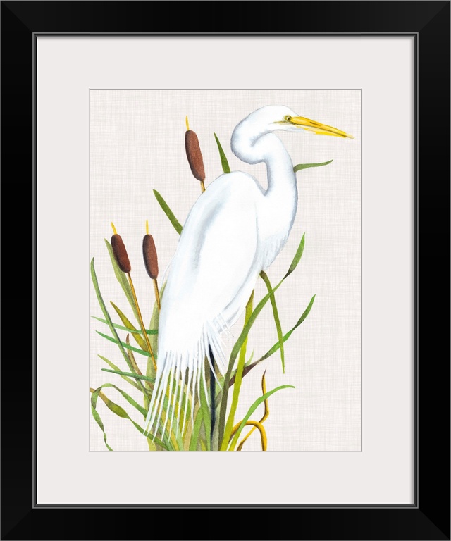 Painting of a white egret standing in tall reeds.