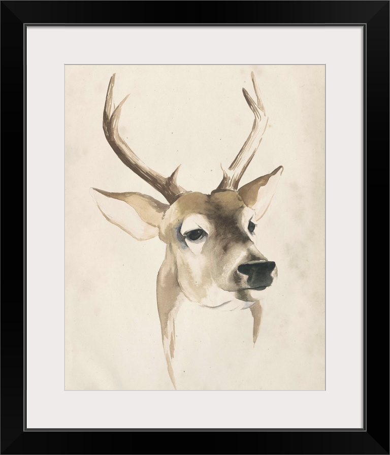 Watercolor painting of a deer with large antlers.