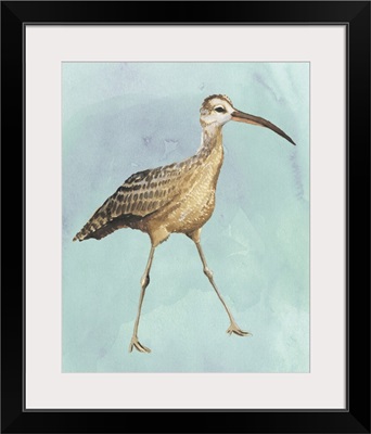 Watercolor Beach Bird II