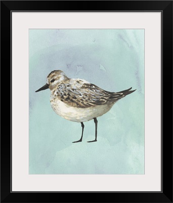 Watercolor Beach Bird V
