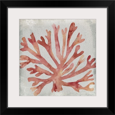 Watercolor Coral III