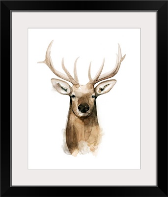 Watercolor Elk Portrait I