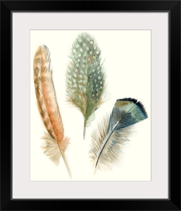 Contemporary watercolor feather illustrations.