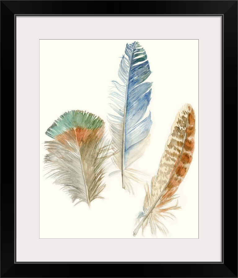 Contemporary watercolor feather illustrations.