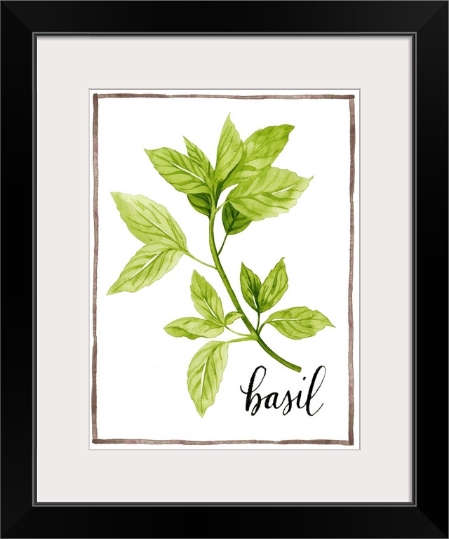Watercolor painting of basil leaves on a white background with a brown boarder and the word "basil" written in black scrip...