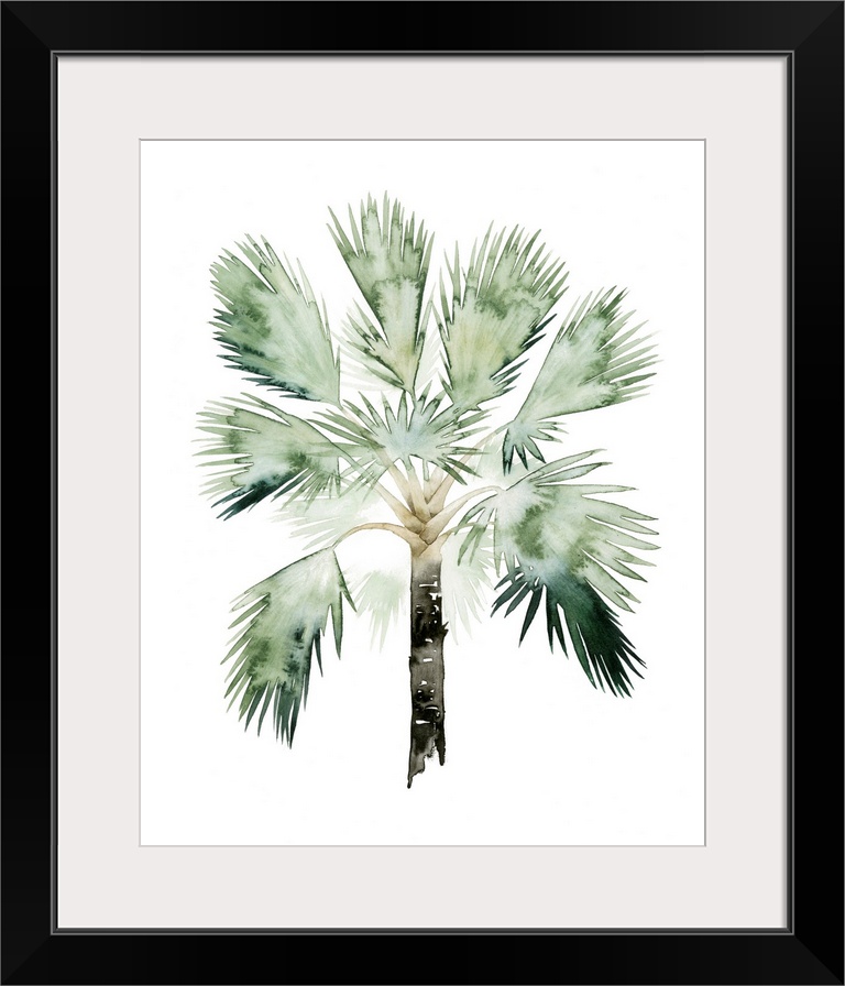 Watercolor artwork of a palm tree with broad green fronds.