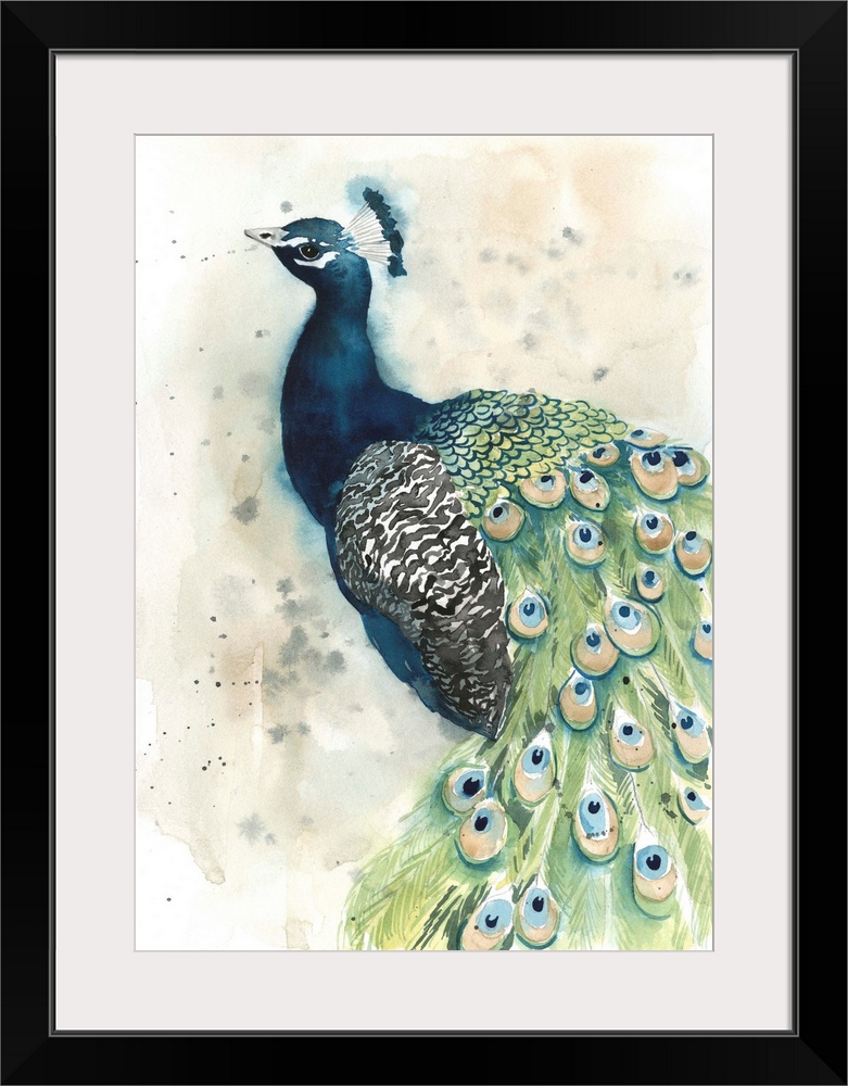 Contemporary watercolor peacock against a neutral background.