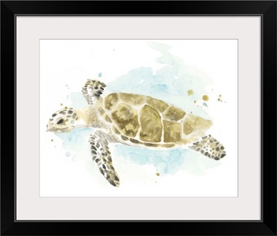 Watercolor Sea Turtle Study II