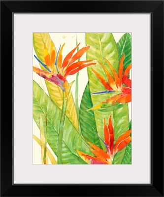 Watercolor Tropical Flowers III
