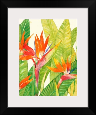 Watercolor Tropical Flowers IV