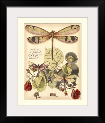 Whimsical Dragonflies II