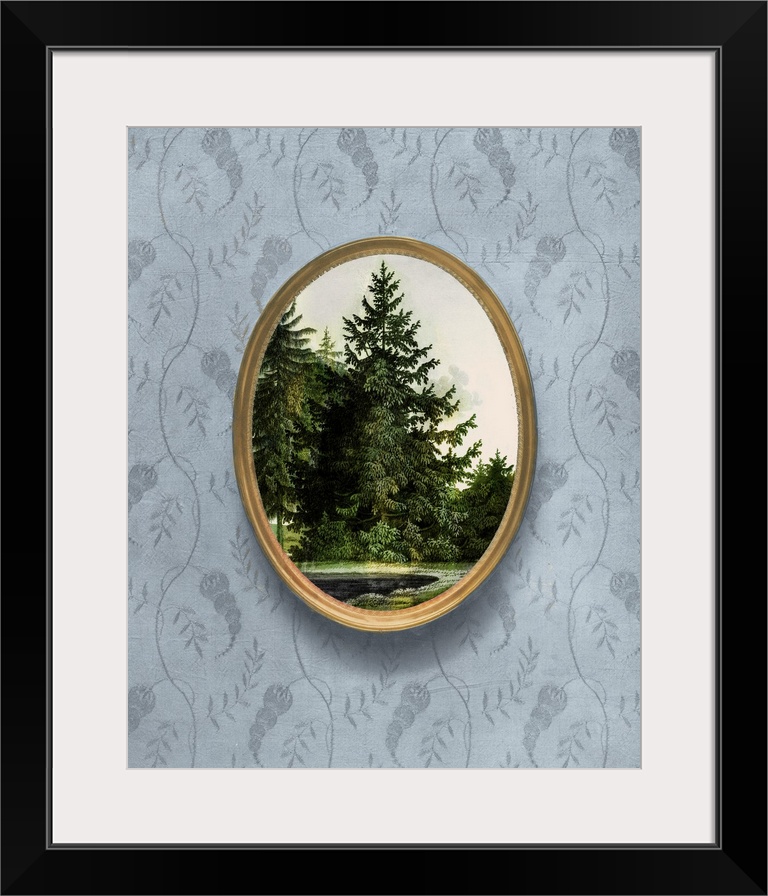 Woodland Fir Cameo I