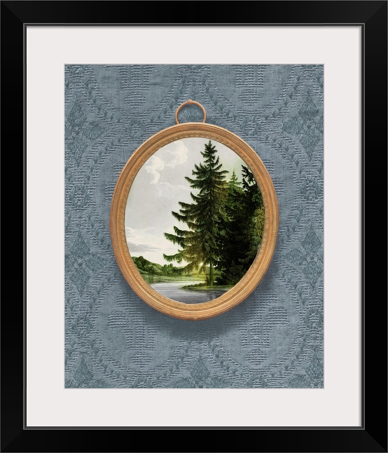 Woodland Fir Cameo II