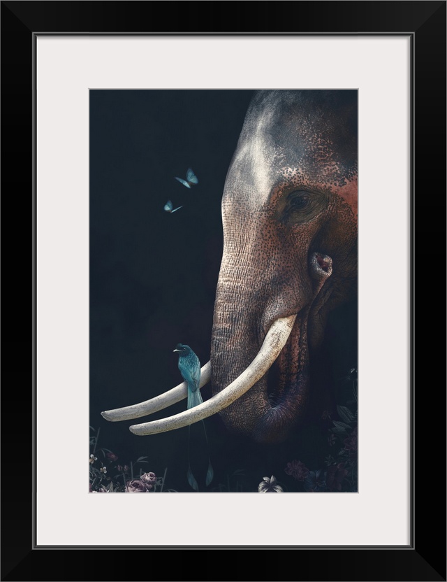 Elephant 2