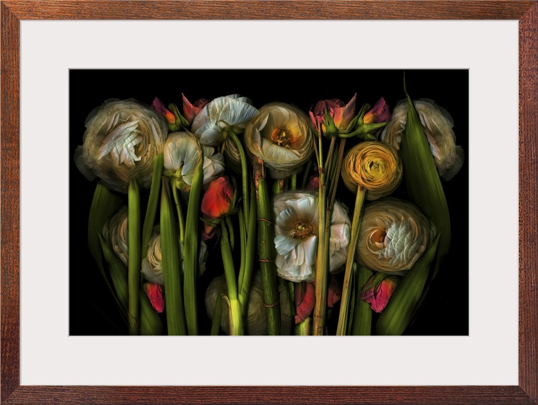 Earthart flora no.3, 2024.