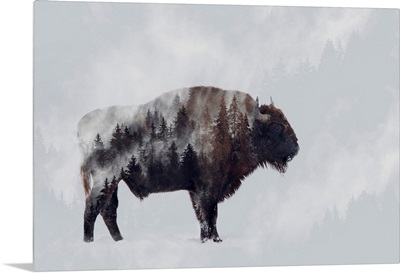 Bison - Double Exposure