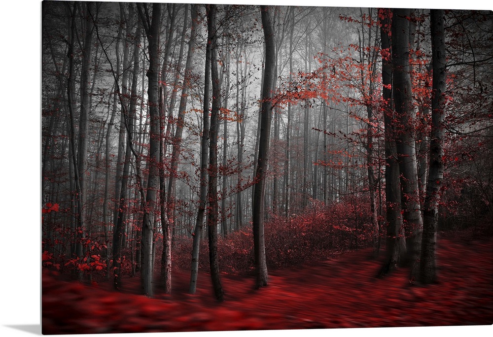 Blurred motion image of a forest in the fall, with red leaves on the ground resembling a river.