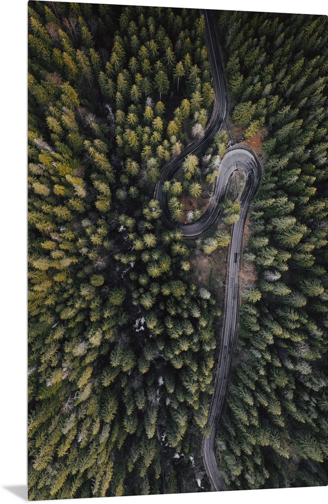 Drone view of winding forest road.