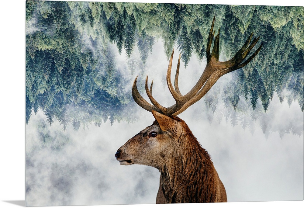 The Deer And The Woods