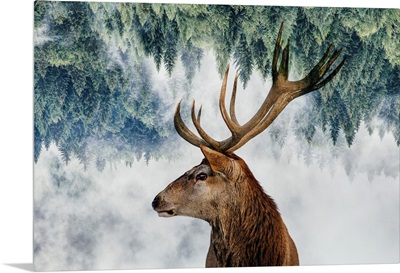 The Deer And The Woods