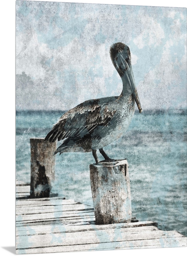 Black and white photograph of a pelican standing on a dock with light blue tones painted on top.