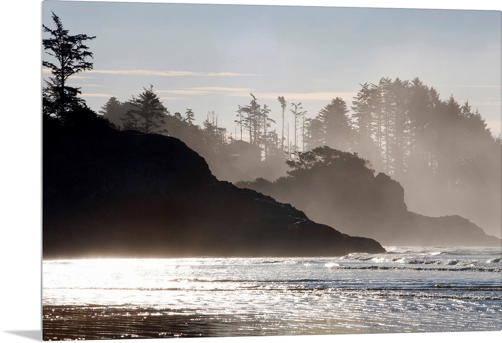 Mist rises of the sea against the silhouettes of rocks and trees in this shore line photograph taken in the morning.