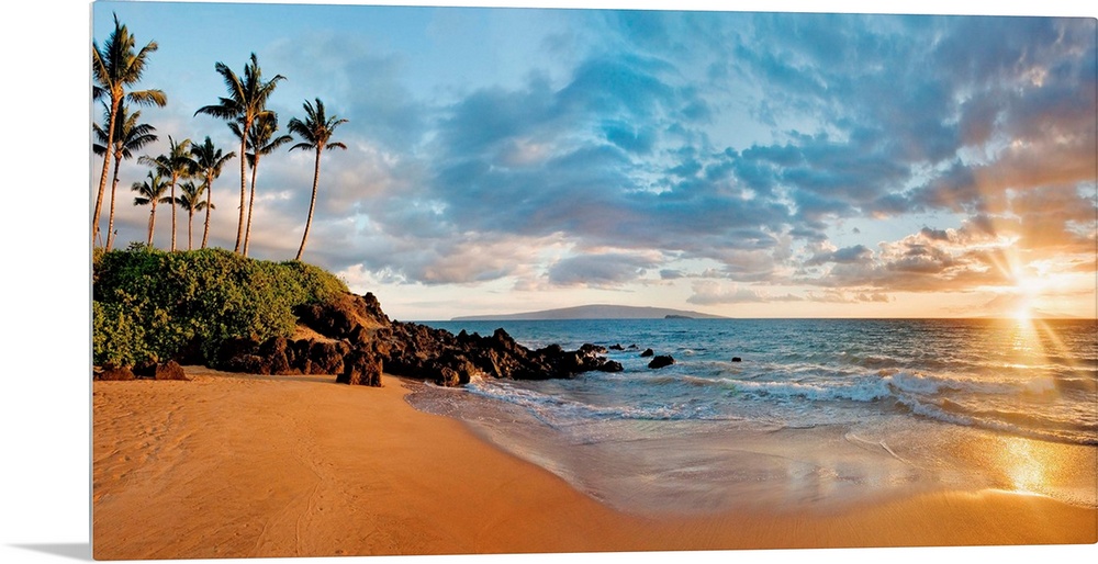 This panoramic landscape shows a small sandy beach lined with palm trees, an ocean with choppy waves, and a cloudy sky.