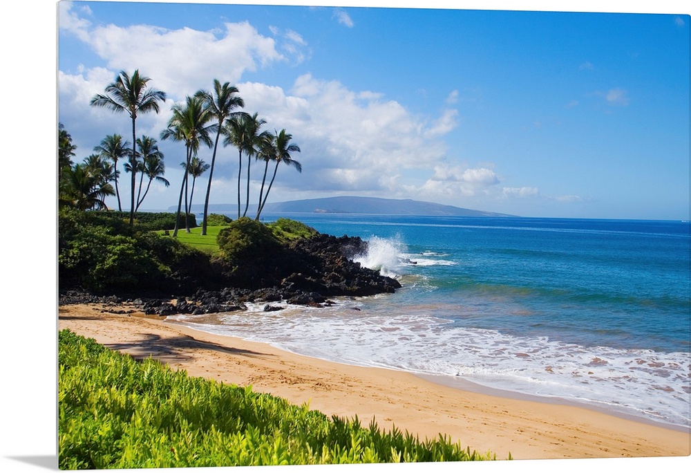 An idyllic photograph of the Hawaiian coast, with gently lapping water under a bright blue sky. This inviting scene is the...