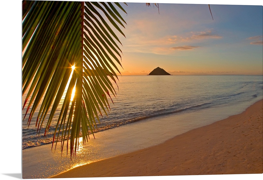 Photograph of beach at dawn with mountain silhouettes in distance.  There is a single palm tree leaf hanging  over half th...