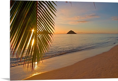 Hawaii, Oahu, Mokulua Islands, Golden Sunrise At Lanikai Beach