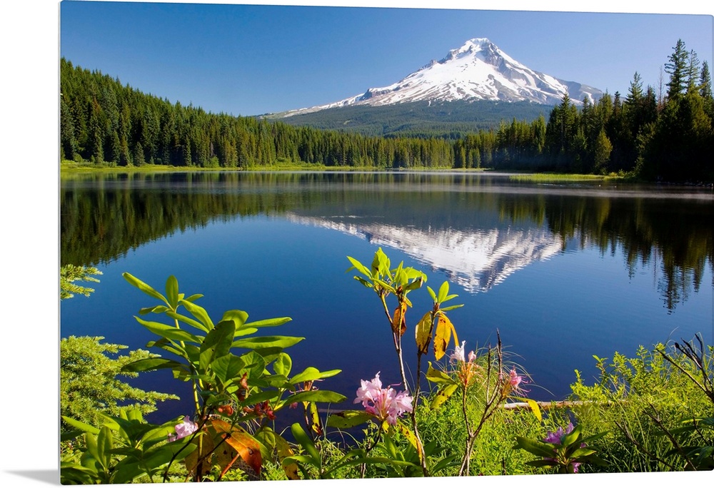 Reflection Of Mount Hood In Trillium Lake In The Oregon Cascades; Oregon